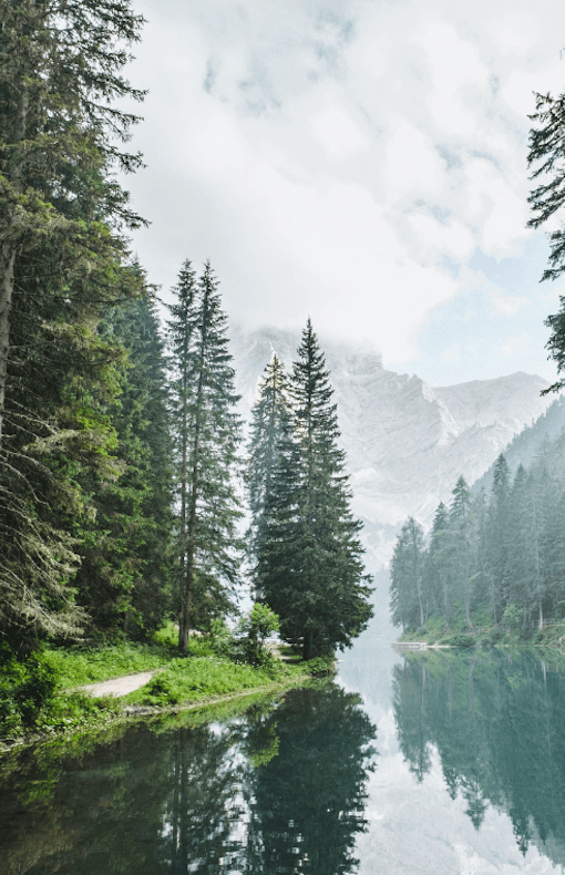 sustainability image - lake with forest