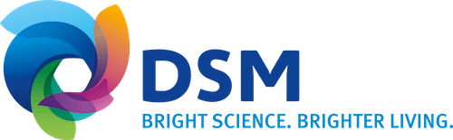 DSM_MasterLogo