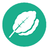 Plant Extracts icon