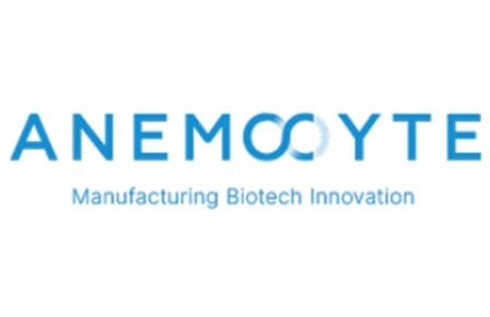 Anemocyte