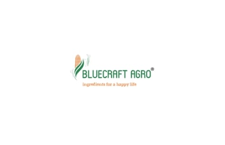 Bluecraft