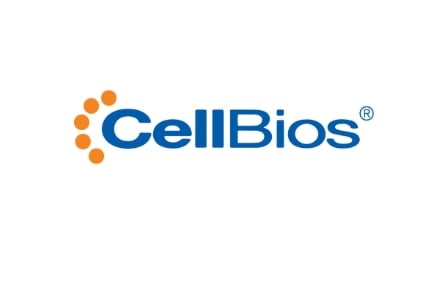 Cell