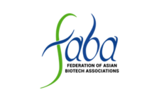 Faba