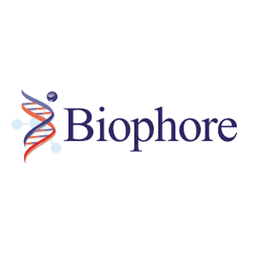 who attends CPhI Worldwide